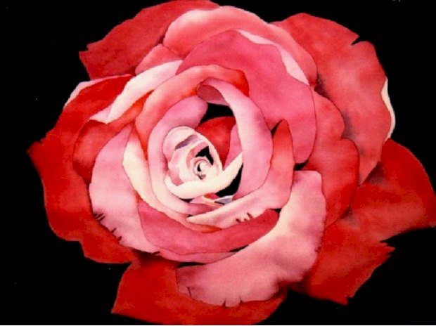 Red Rose - Watercolor by Penny Ritch