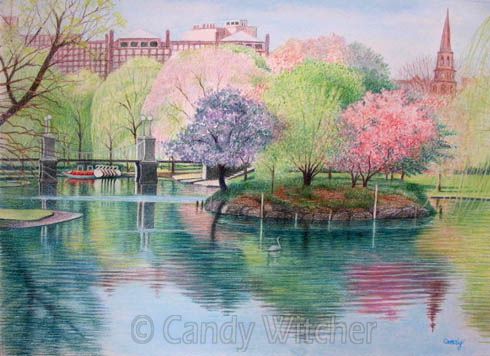 Springtime in Boston II by Candy Witcher 