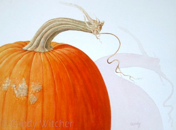 Pumpkin Stem VI by Candy Witcher