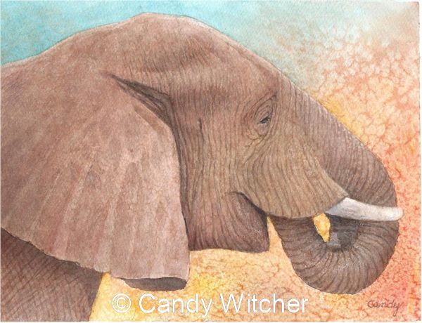 Elephant VIII by Candy Witcher
