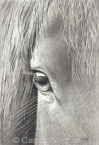 Horse's Eye by Candy Witcher