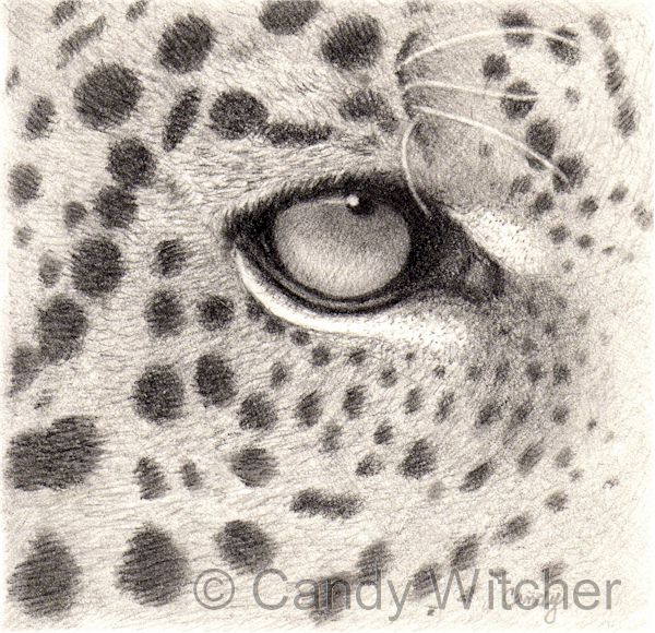 Leopard Eye by Candy Witcher