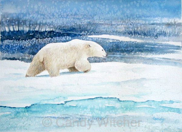 Polar Bear III by Candy Witcher